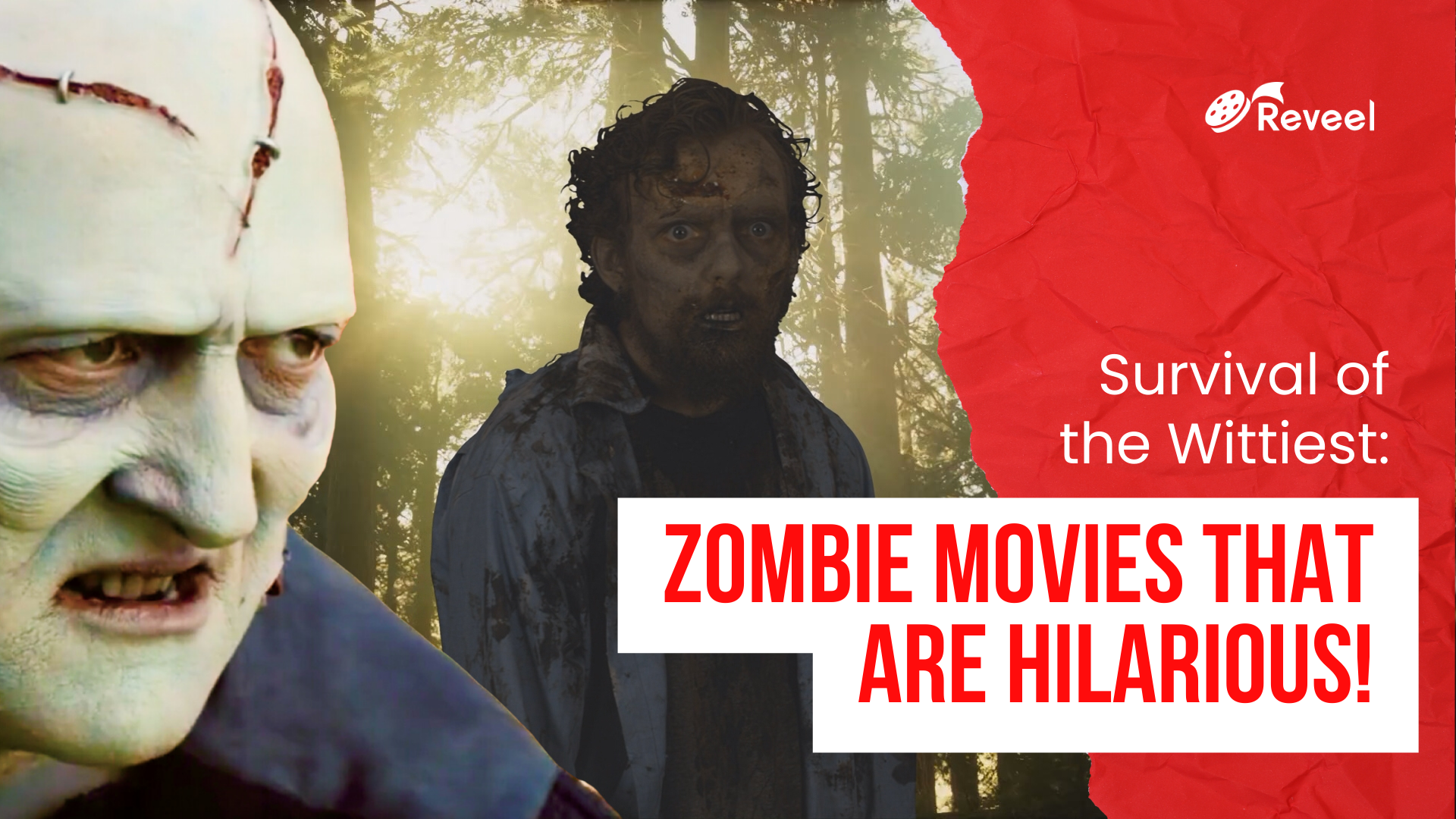 10 Funny Movies about Zombies
